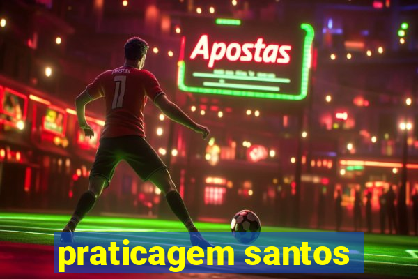 praticagem santos